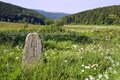 Thüringer Genießerwald