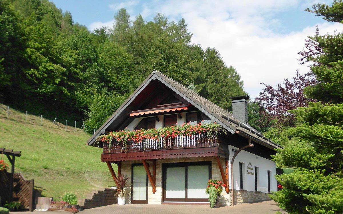Ferienhaus-Haus-Sonnenschein-Trusetal-Panorama