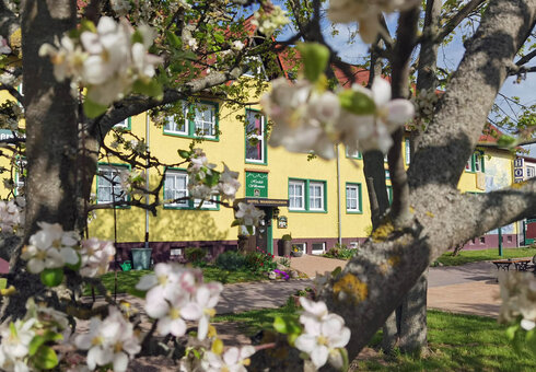 Hausansicht im Frühling