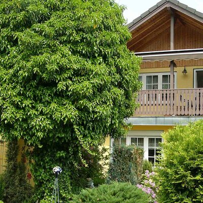 Ferienhaus Voigt, Sitzendorf