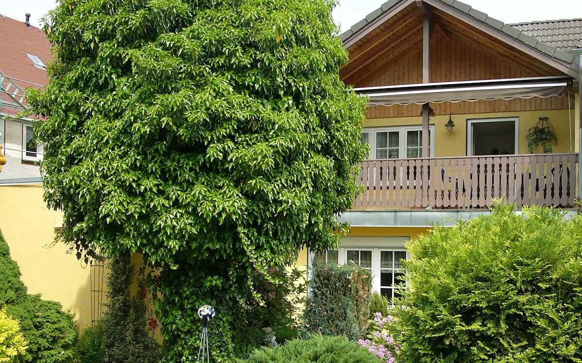Ferienhaus-Voigt-Sitzendorf-panorama