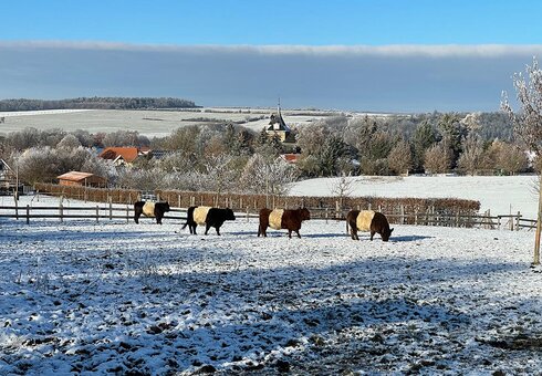 Landschaft bei Stadtilm