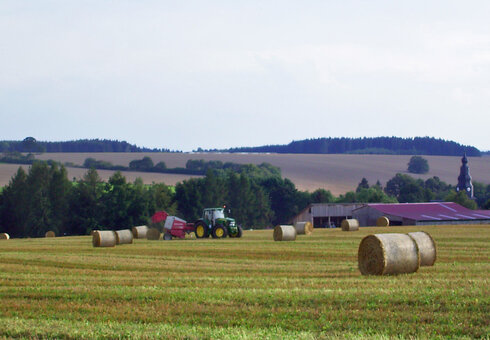 Landschaft bei Dreba
