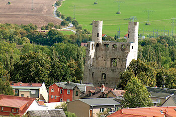 Burgruine Hoher Schwarm