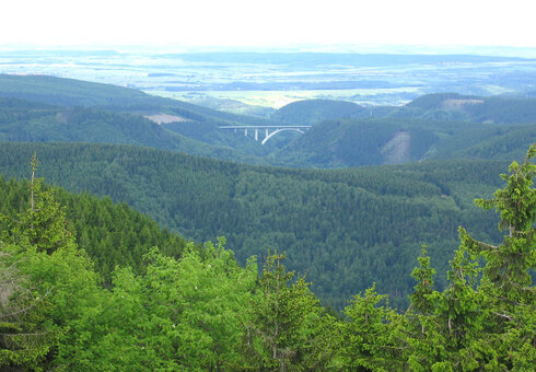 Impressionen vom Thüringer Wald