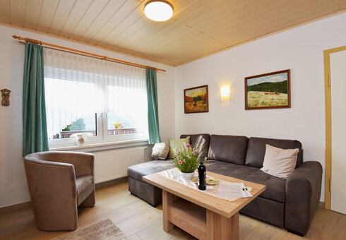 Couch und Sessel im Wohnzimmer