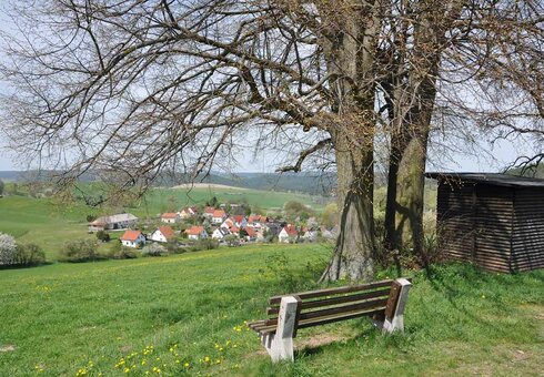 Landschaft im Sommer