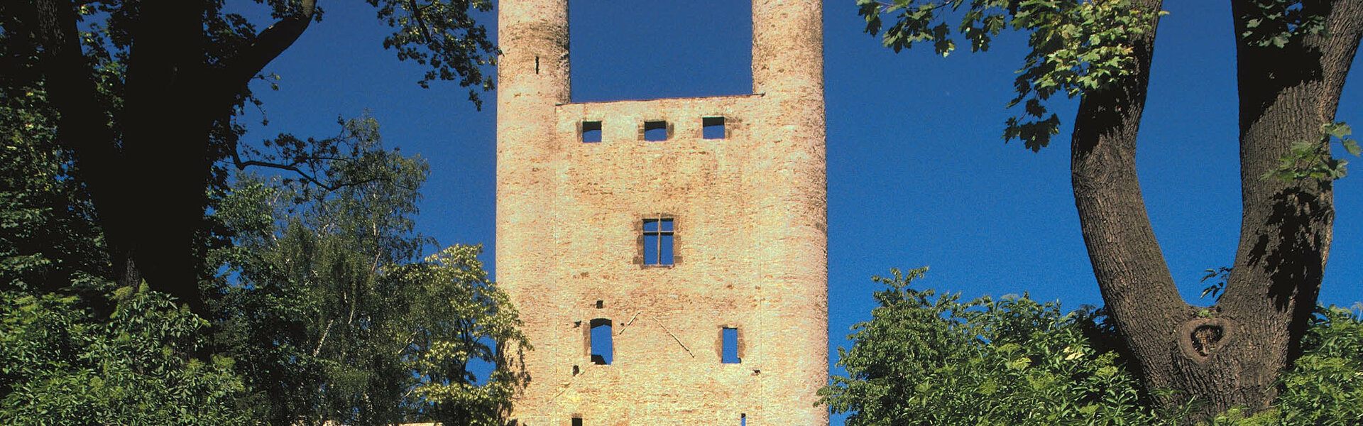 Burgruine Hoher Schwarm