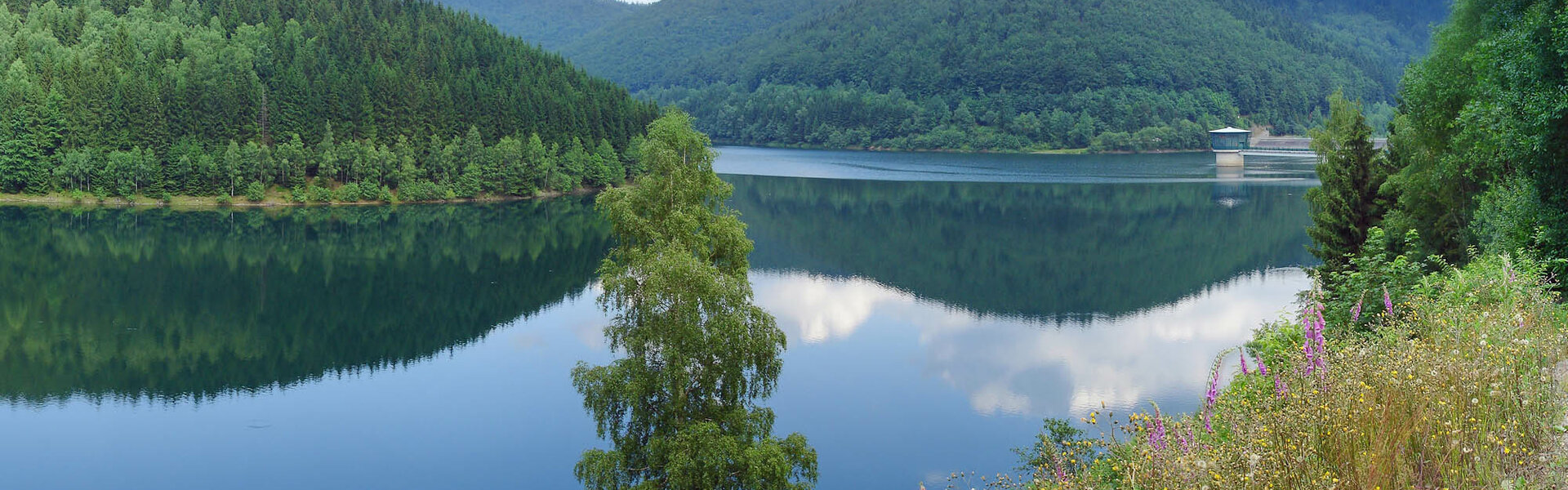 Talsperre Schönbrunn