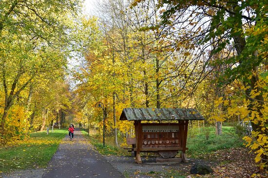 Apfelstädt-Radweg