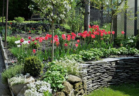Blick in den Garten
