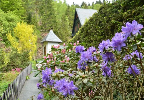 Blumenpracht auf dem Grundstück