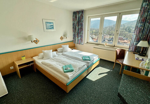 Zimmer Haus Treue