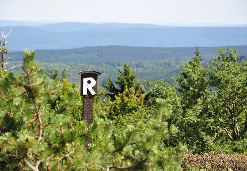 Natur pur im Thüringer Wald
