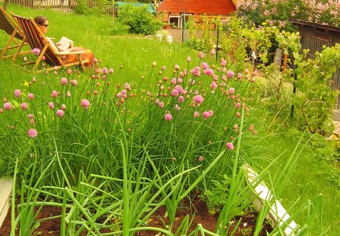 Im Garten