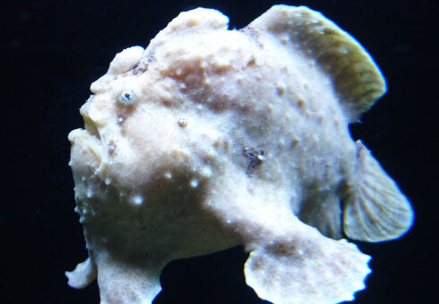 Erlebnispark Meeresaquarium