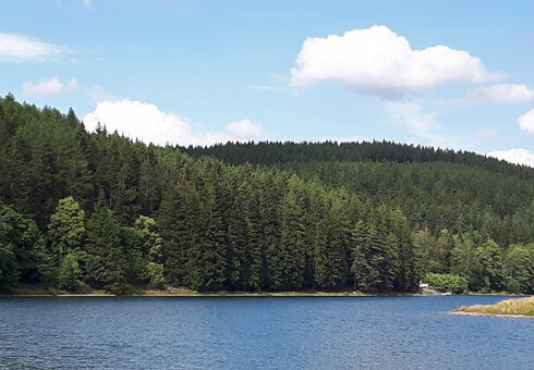 Lütsche-Stausee
