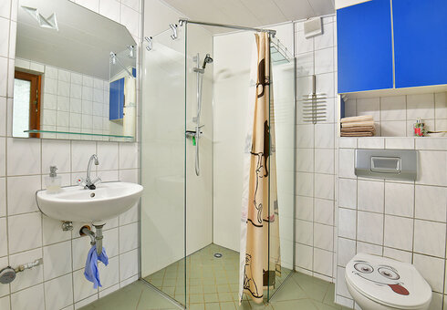 Bad mit Dusche / WC