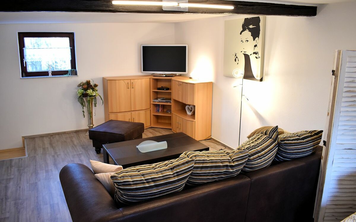 Ferienwohnung-Helene-Bad-Salzungen-Panorama