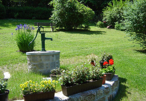 Blick in den Garten