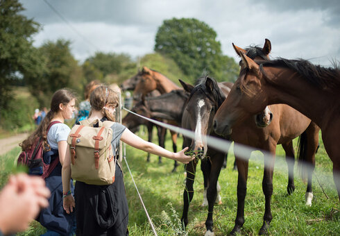 Language Farm