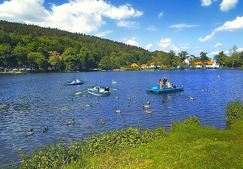 Idylle am Hammerteich