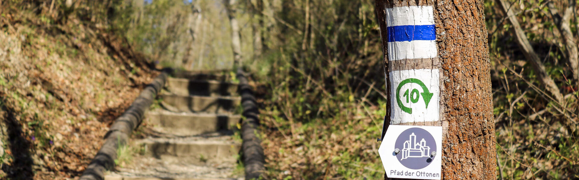 Pfad der Ottonen - natura jenensis - Jena