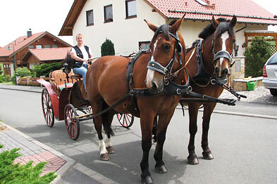 Kutschfahrt