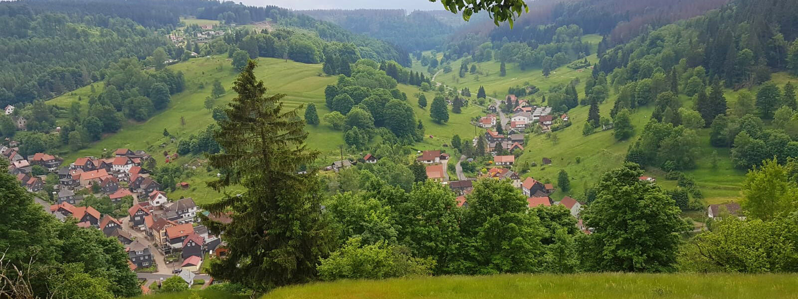 Haus-Ingrid-Giessuebel-Panorama