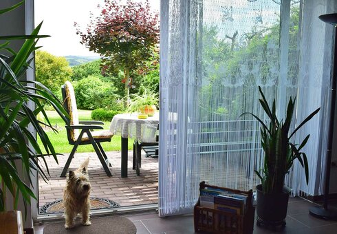 Blick zur Terrasse