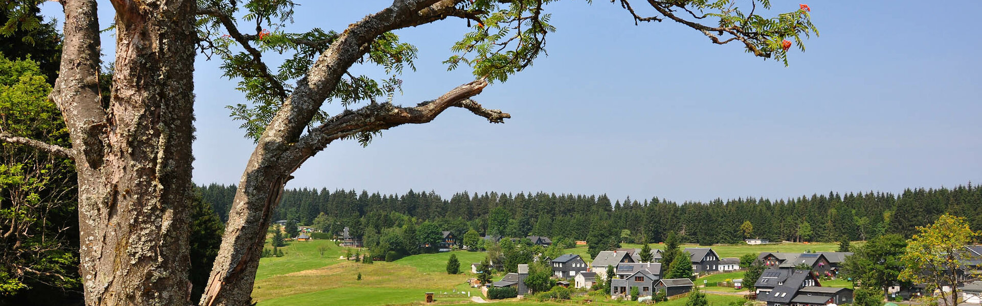 Blick auf den Ort Friedrichshöhe