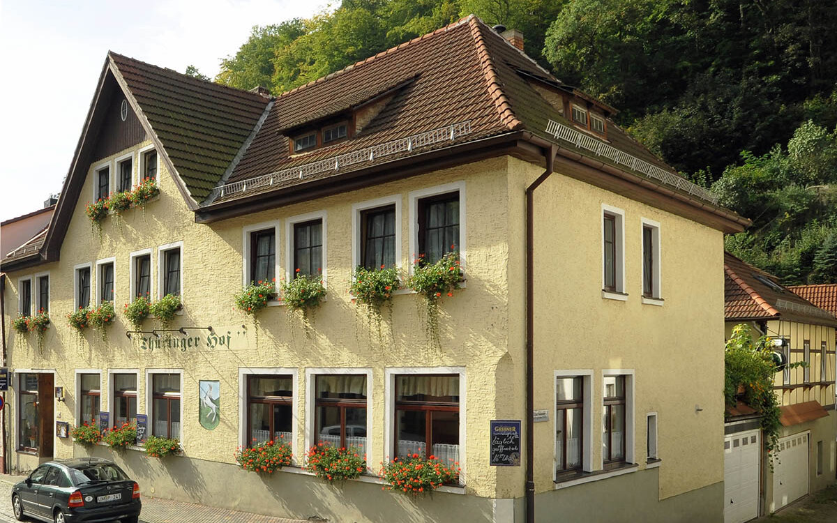 Pension-Thueringer-Hof-Ziegenrueck-Panorama