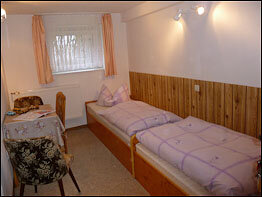 Blick in das Appartement