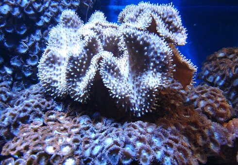 Erlebnispark Meeresaquarium