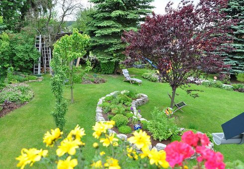 Blick in den Garten