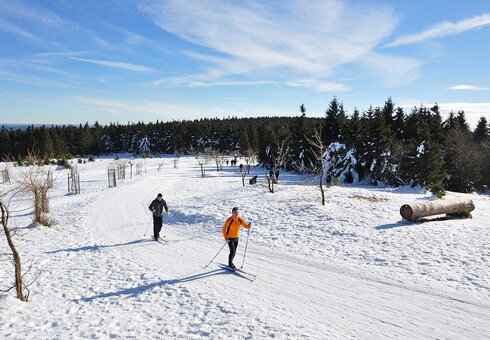 Skifahrer auf dem Schneekopf