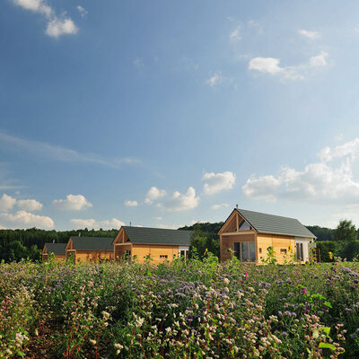 Hainichhöfe Premiumchalets