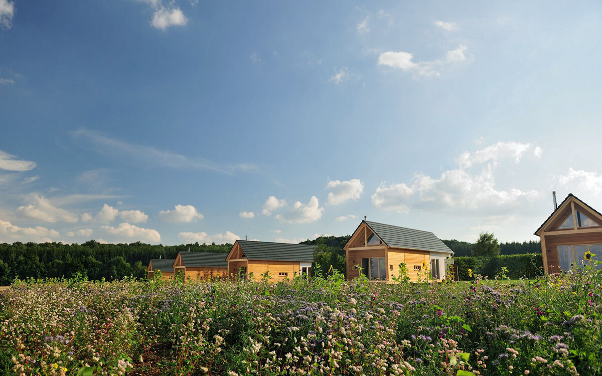 Hainichhöfe Premiumchalets