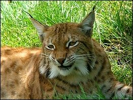 Tierpark Suhl