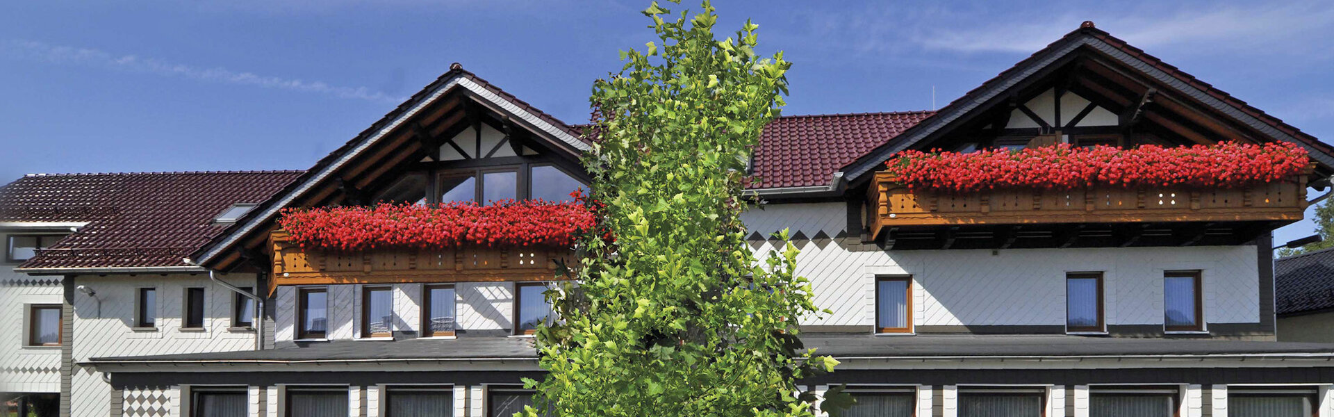 Hotel-Restaurant-Berggarten-Brotterode-Panorama