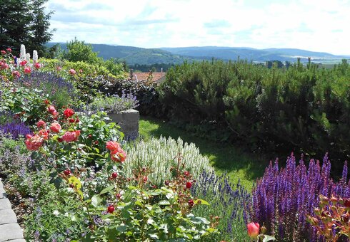 Ausblick vom Garten