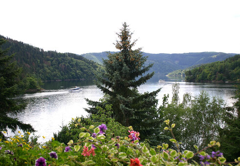 Blick auf den Hohenwarte-Stausee