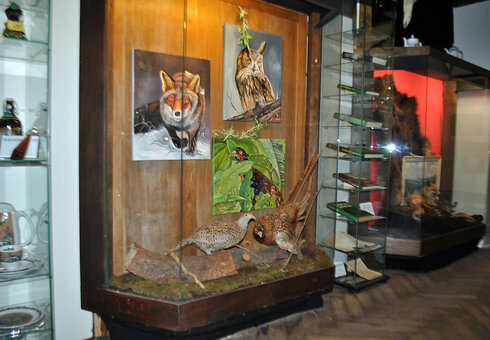 Wilderermuseum