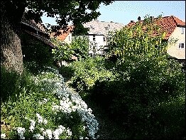 Haus Bethlehem - Umgebung
