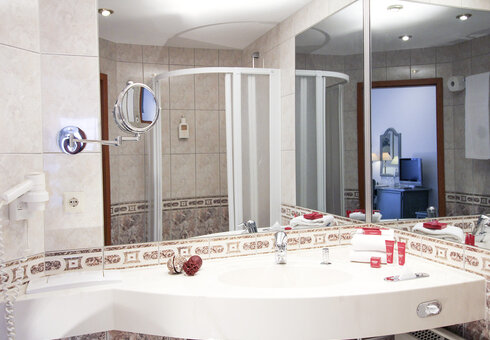 Badezimmer Doppelzimmer Standard mit Waldblick