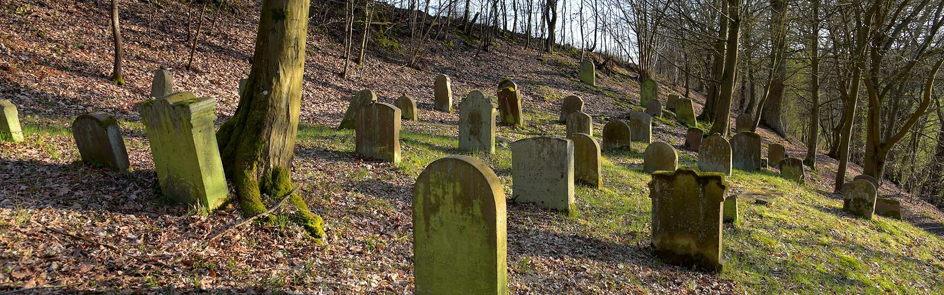Jüdischer Friedhof in Schwarza