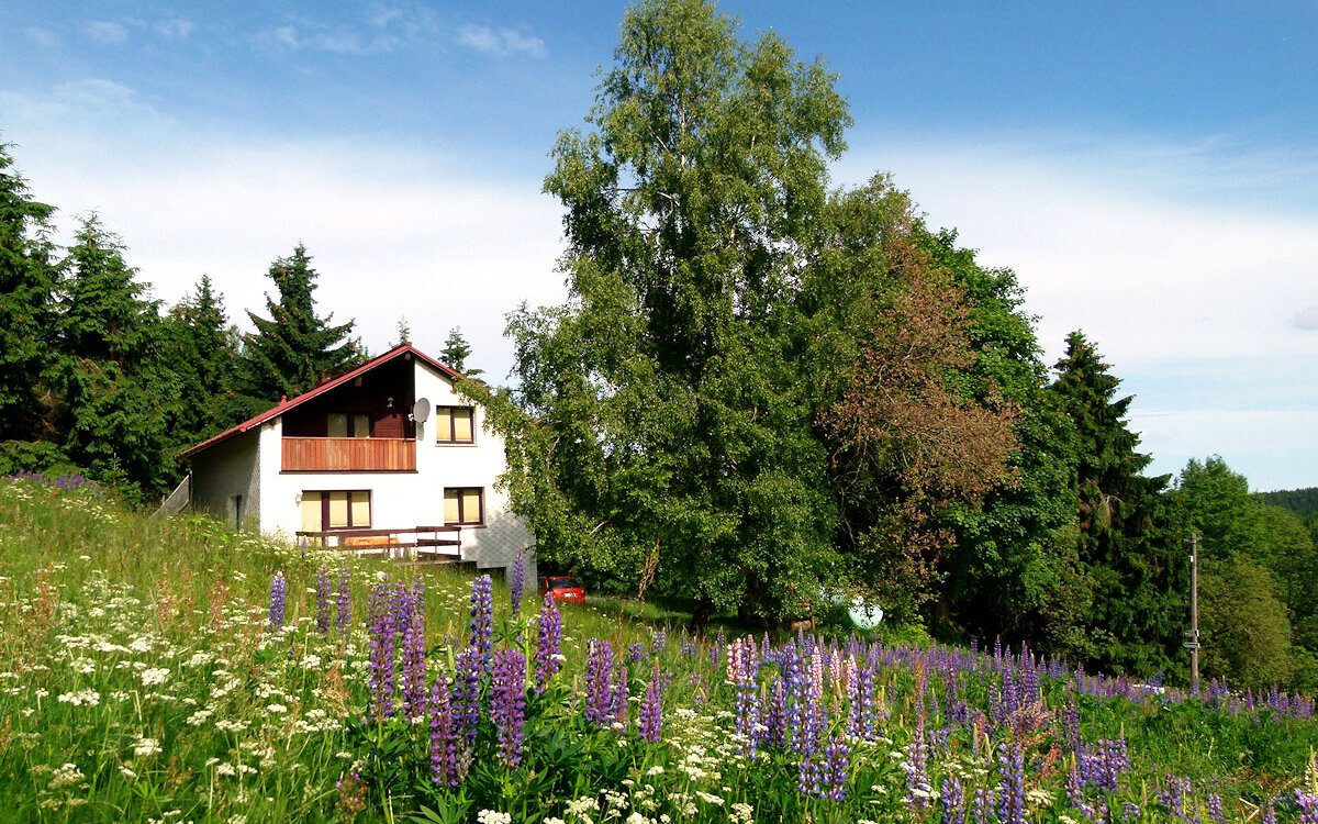 Ferienhaus-Am-Brand-Gehlberg-Panorama