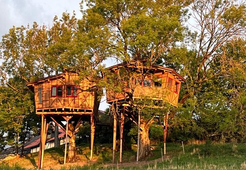 Baumhaus „Luftikus“