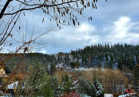 Blick in die Natur