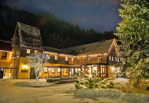 Waldhotel im Winter